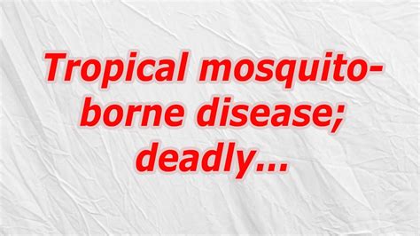 mosquito borne tropical disease codycross|Tropical mosquito.